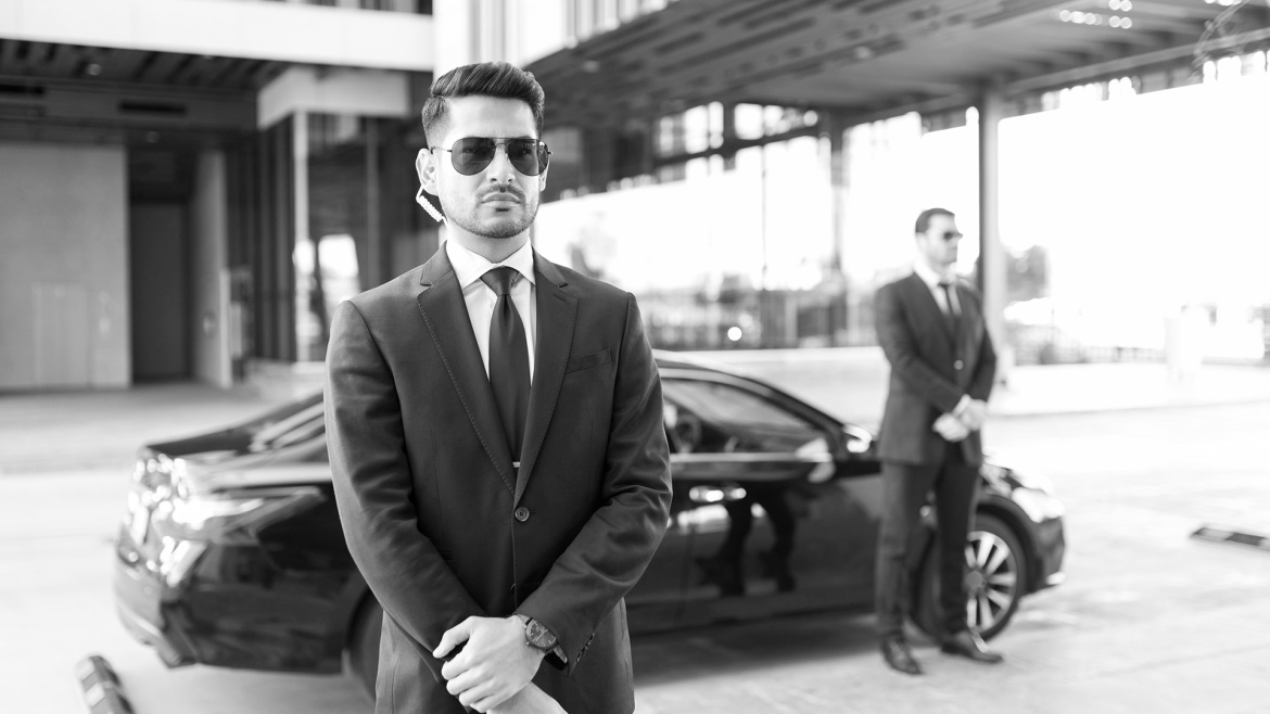 The Luxe Security